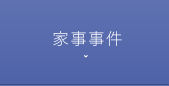 家事事件